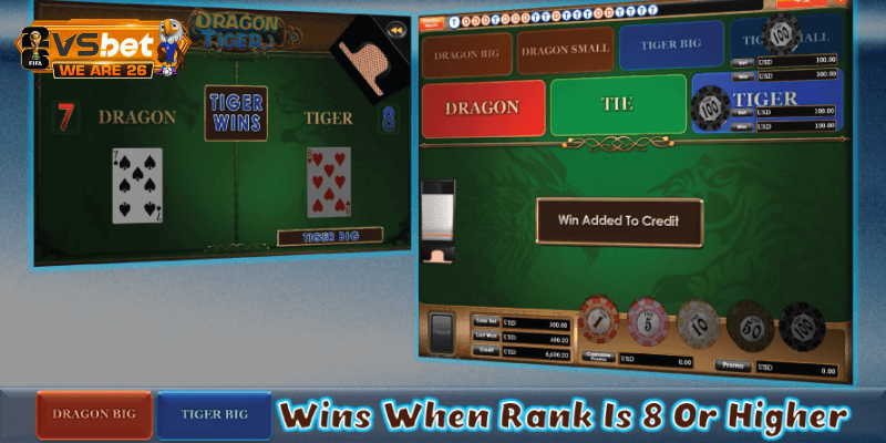 Chiến thuật Dragon Tiger phương pháp vào tiền cửa Hổ thu lợi lớn